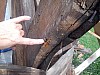 DSC00119