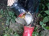 DSC00115