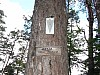 DSC00207